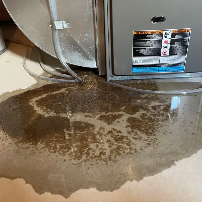 Pipe Burst and Leak Restoration in Ten Mile Run, NJ
